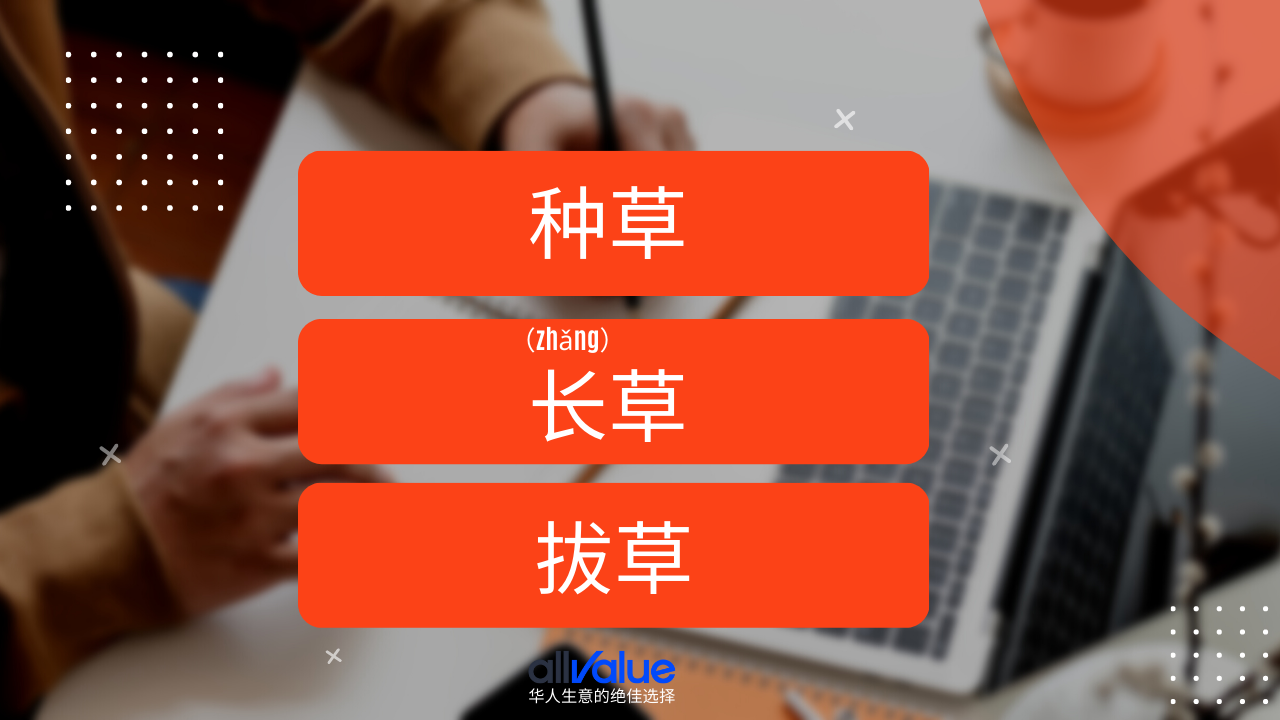 內(nèi)容與商業(yè)相遇：小紅書，2023海外華人商家一定要抓住的商業(yè)風向
